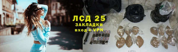ГАЛЛЮЦИНОГЕННЫЕ ГРИБЫ Новочеркасск