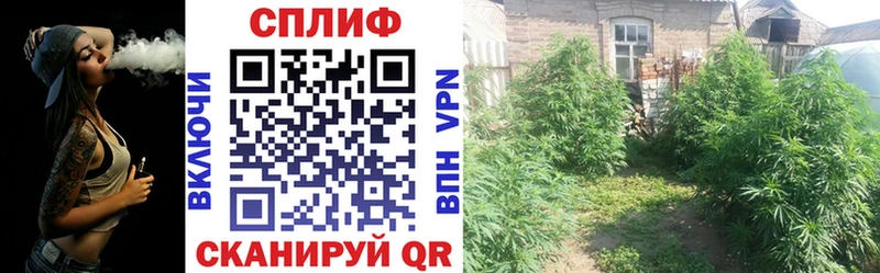 Конопля MAZAR  наркотики  Анадырь 
